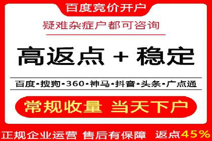 百度竞价SEM案例研究：提升转化率的关键策略